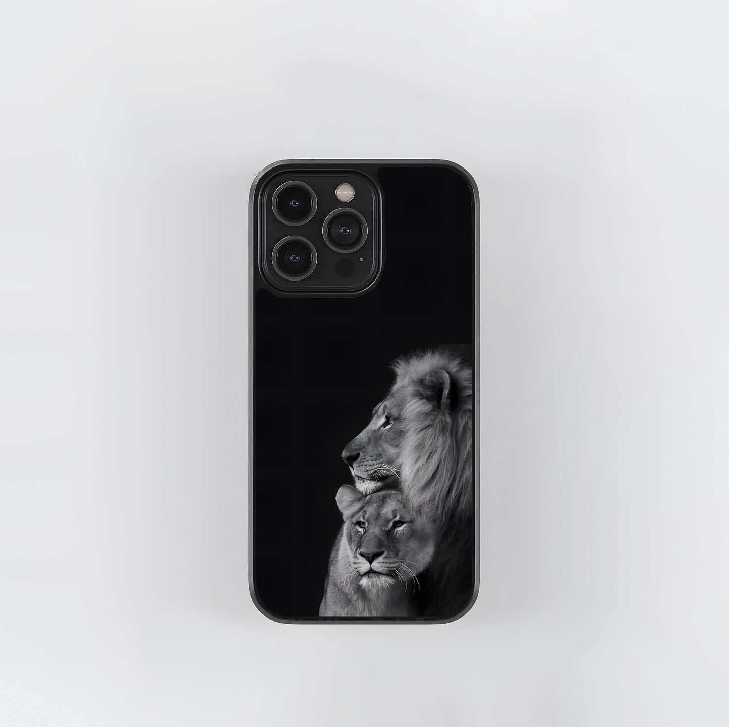 Lion and Lioness Portrait Glass Case