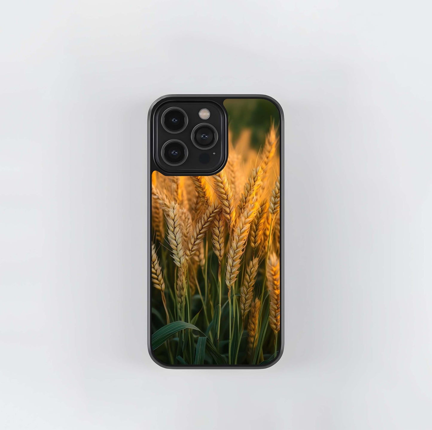 Golden Sunset Wheat Field Glass Case