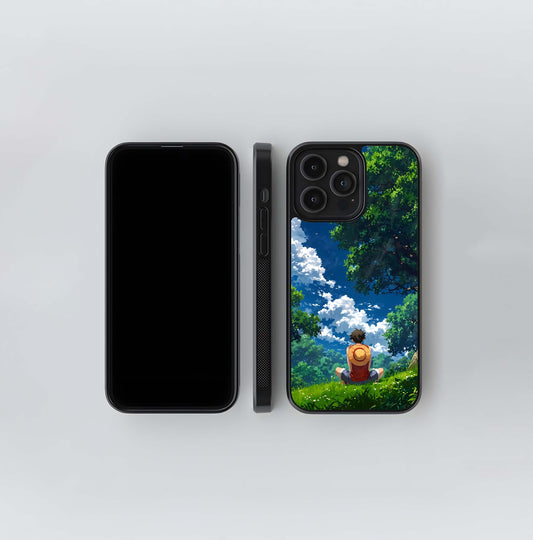 Alone Luffy Glass Case