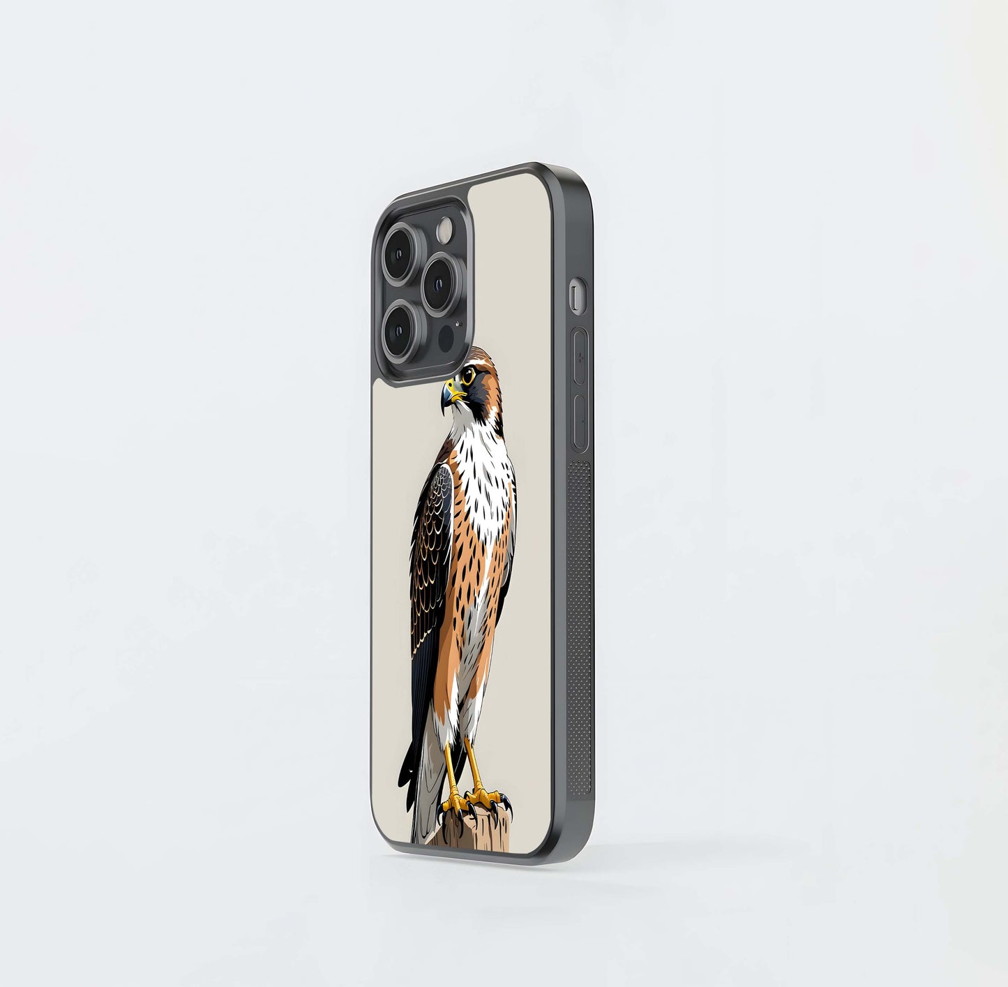 Falcon Glass Case