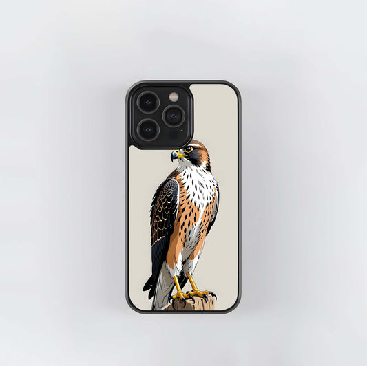 Falcon Glass Case