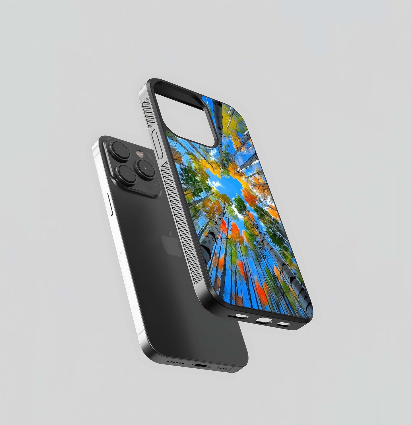 Skyward Birches Glass Case