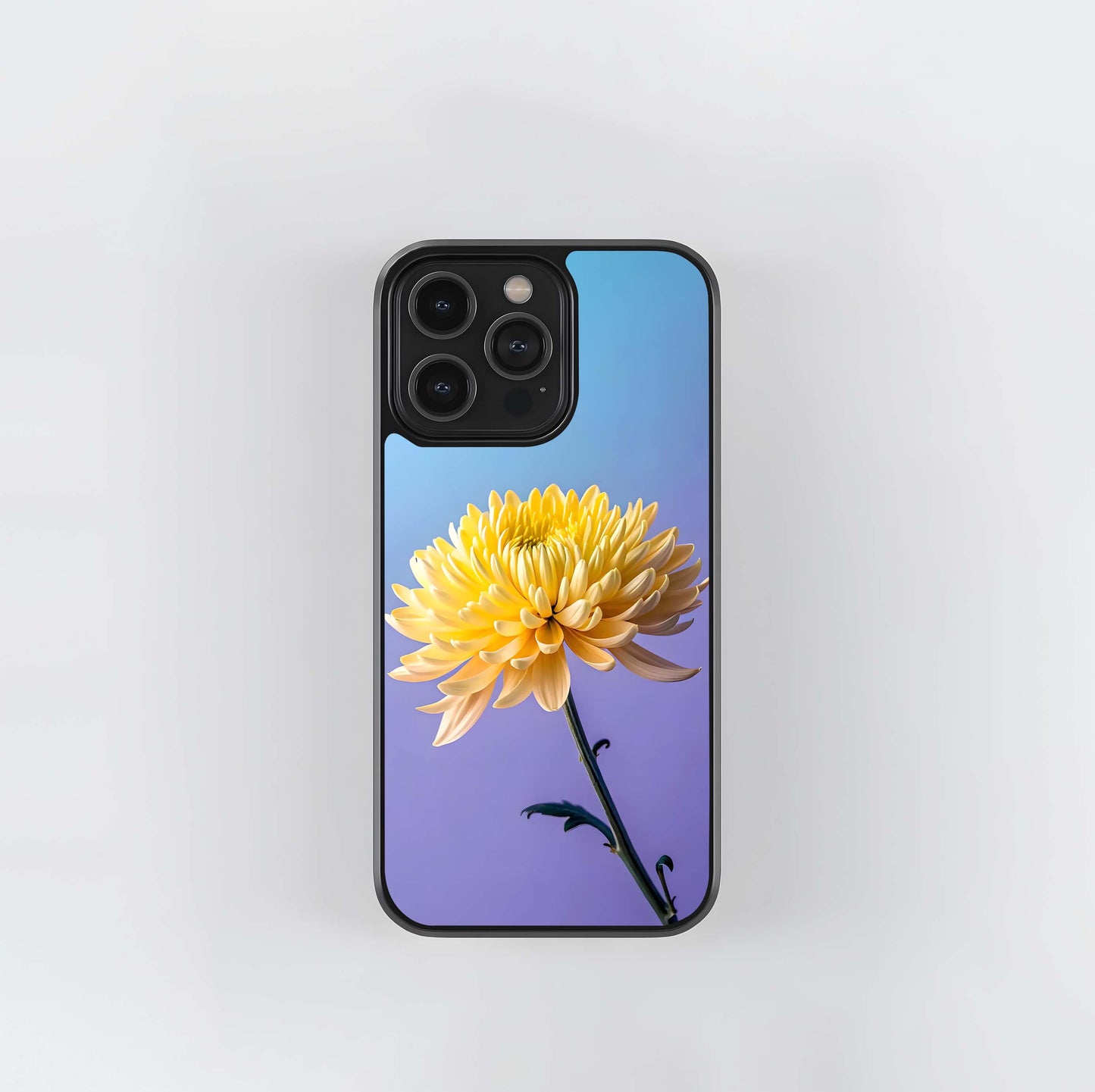 Yellow Chrysanthemum Rise Glass Case